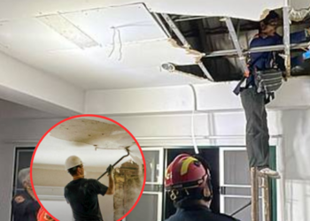 สยอง! คนงานรีโนเวทบ้านเอะใจ กลิ่นเหม็นสาบลอยทั่ว ขึ้นดูบนฝ้าแทบช็อก เจอเฉลยเต็มๆ ตา