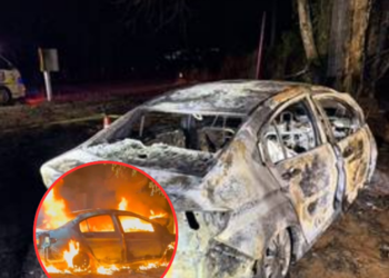 สลด! สาวศุลกากรหลับใน ขับเก๋งเลยโค้งชนต้นไม้ ไฟคลอกดับพร้อมสุนัข ภายในรถ