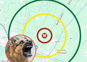 กทม. เตือนเฝ้าระวัง หลังพบเคสพิษสุนัขบ้า ที่แขวง ขุมทอง ลาดกระบัง