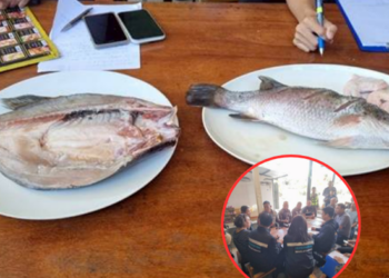 ช็อกโซเชียล! ดราม่าไข่เจียว 400 บาท ตลาดน้ำดำเนินสะดวก พาณิชย์–ตำรวจบุกตรวจ สั่งคุมราคาด่วน