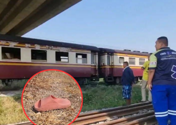 สลด… แม่จูงมือลูกสาวข้ามทางรถไฟ จู่ ๆ ลูกวิ่ง แม่คว้าไม่ทัน ถูกรถไฟชนเสียชีวิต