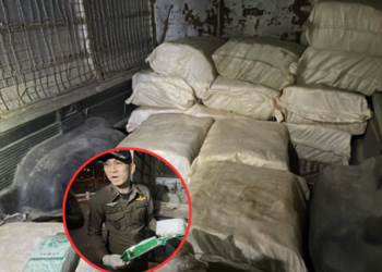 ระทึกกลางดึก! ไล่ล่ากระบะตู้ทึบ ขนยาไอซ์ 15 กระสอบ ซิ่งแหกด่าน ก่อนทิ้งรถหนีซ่อนป่าหญ้า